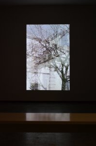 Niklas Goldbach