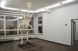 Andreas Greiner