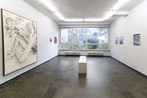 Les Enchantées - exhibition view