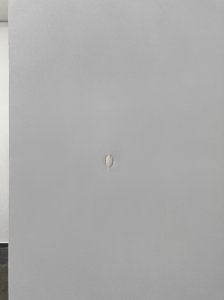 Kate Albrecht Fulton
