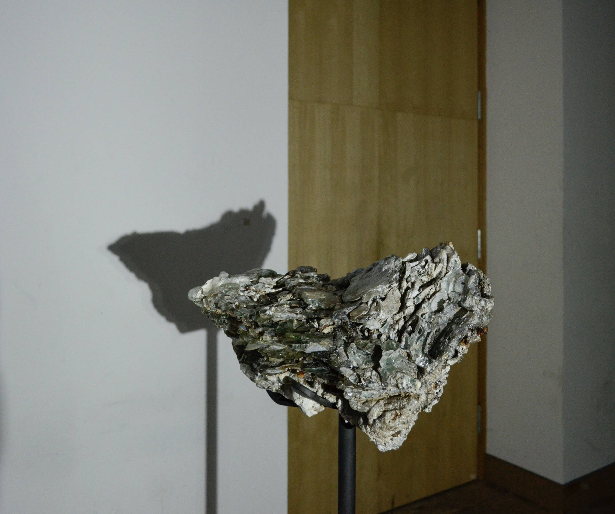 Image:Philip Topolovac