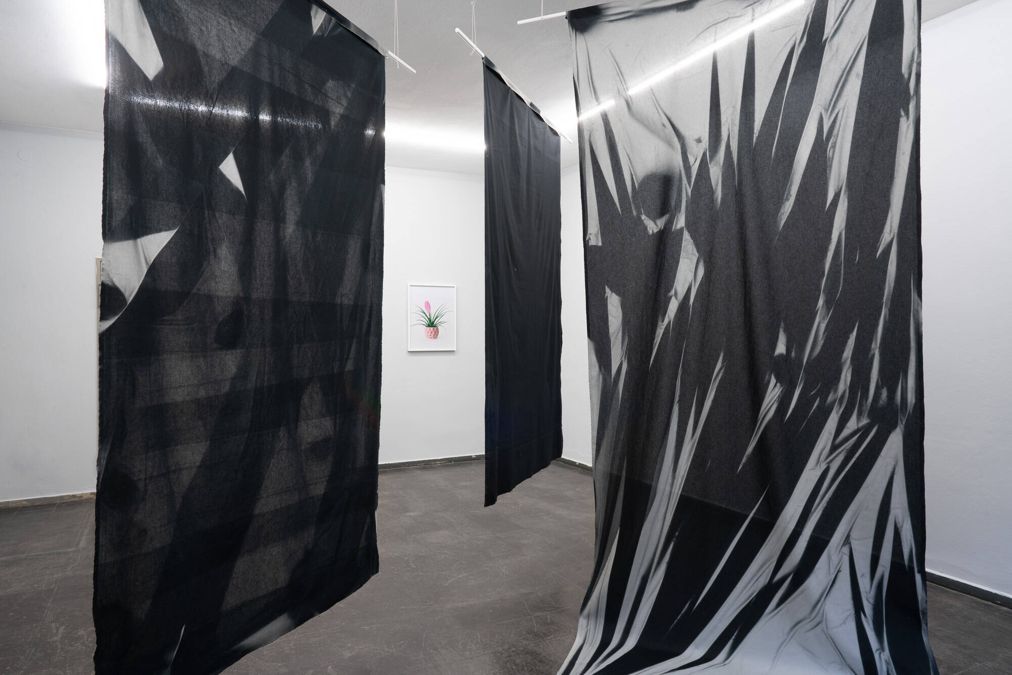Image:Stefanie Seufert