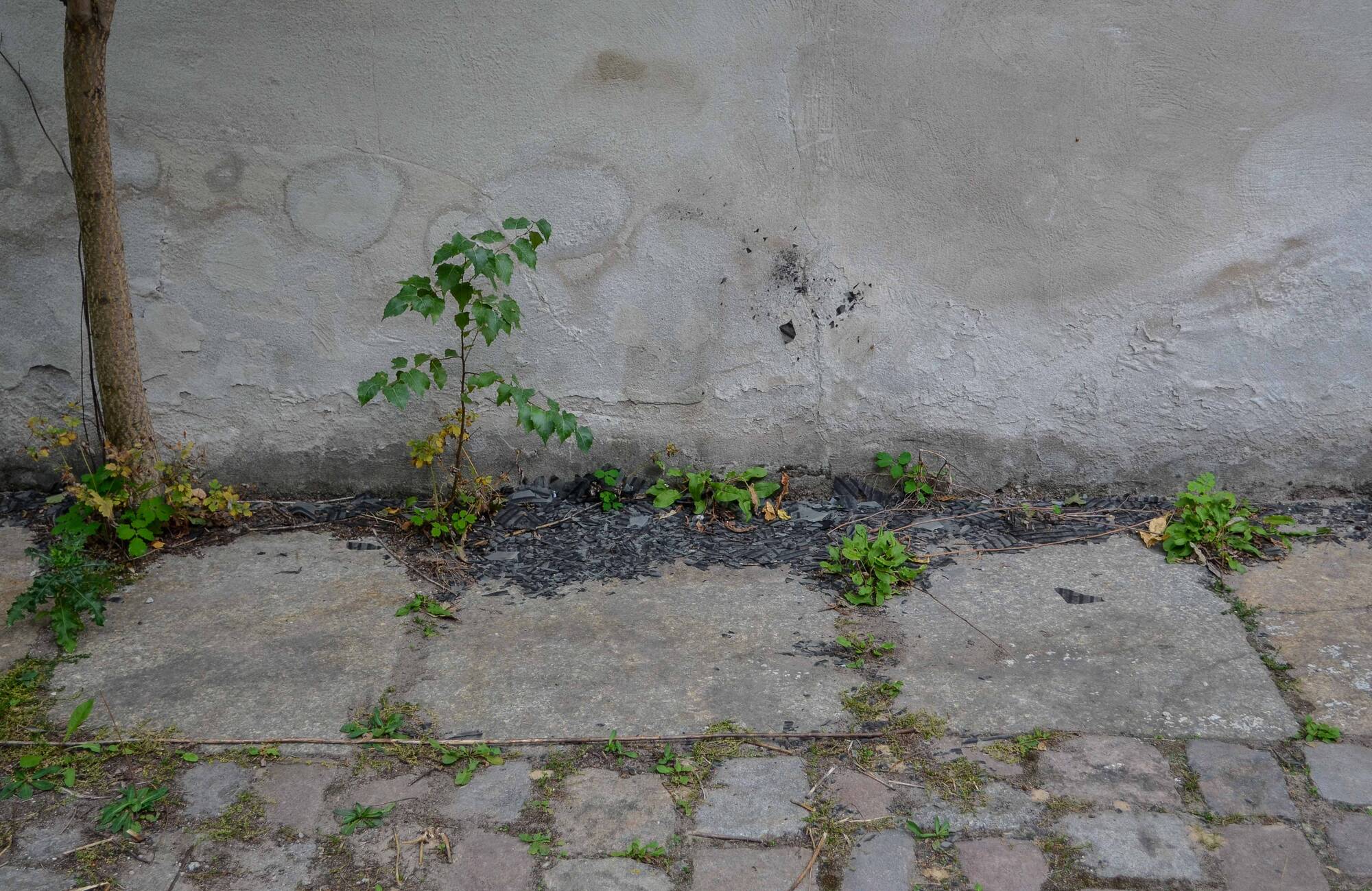 Image:Astali/ Peirce