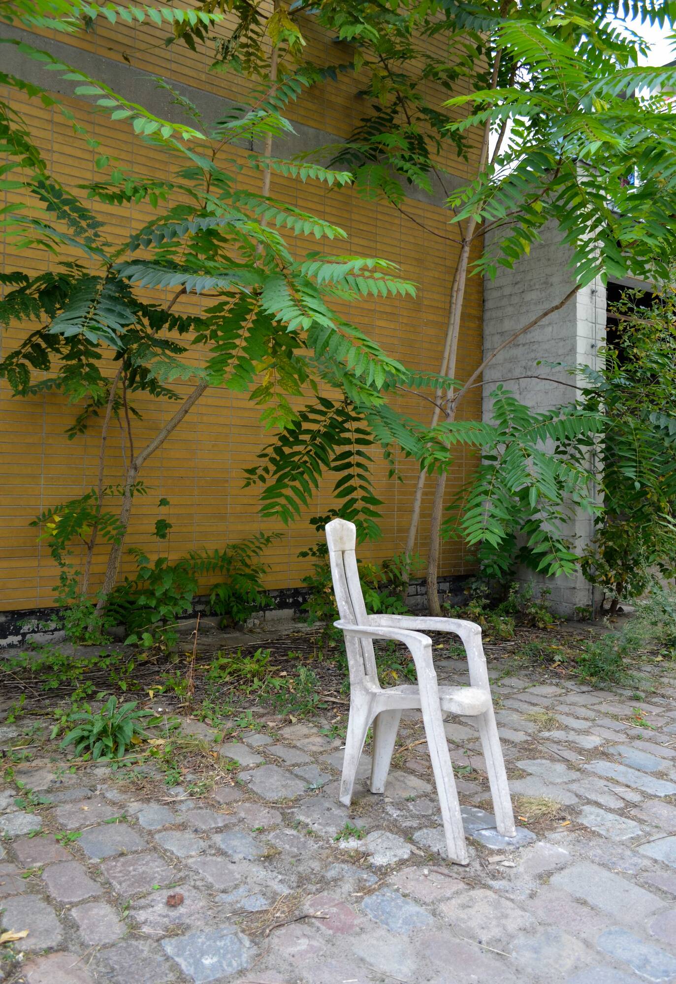 Image:Astali/ Peirce