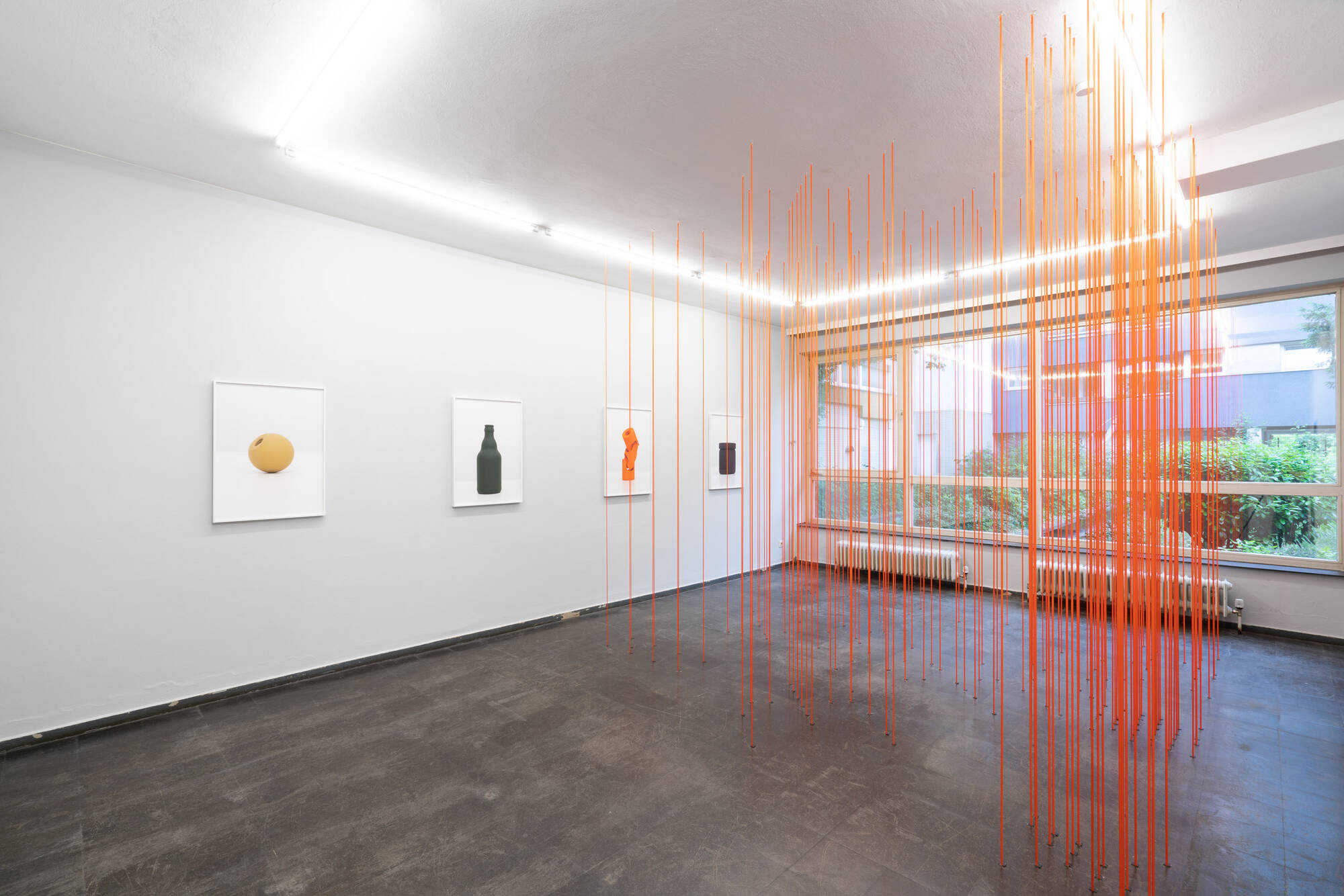 Image:Installation view: Continental Colors