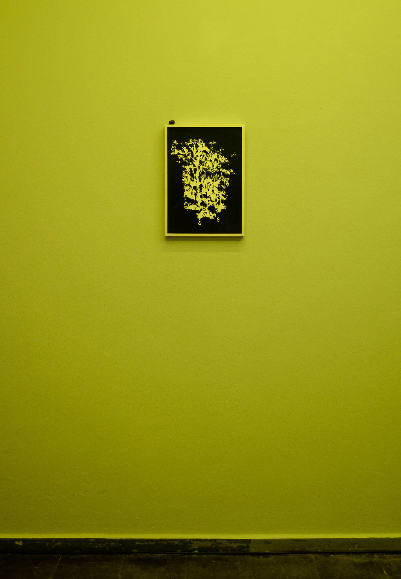 Image:Bethan Hughes