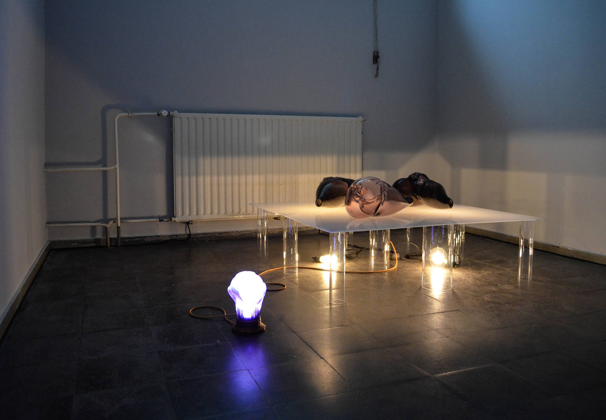 Image:Emma Waltraud Howes