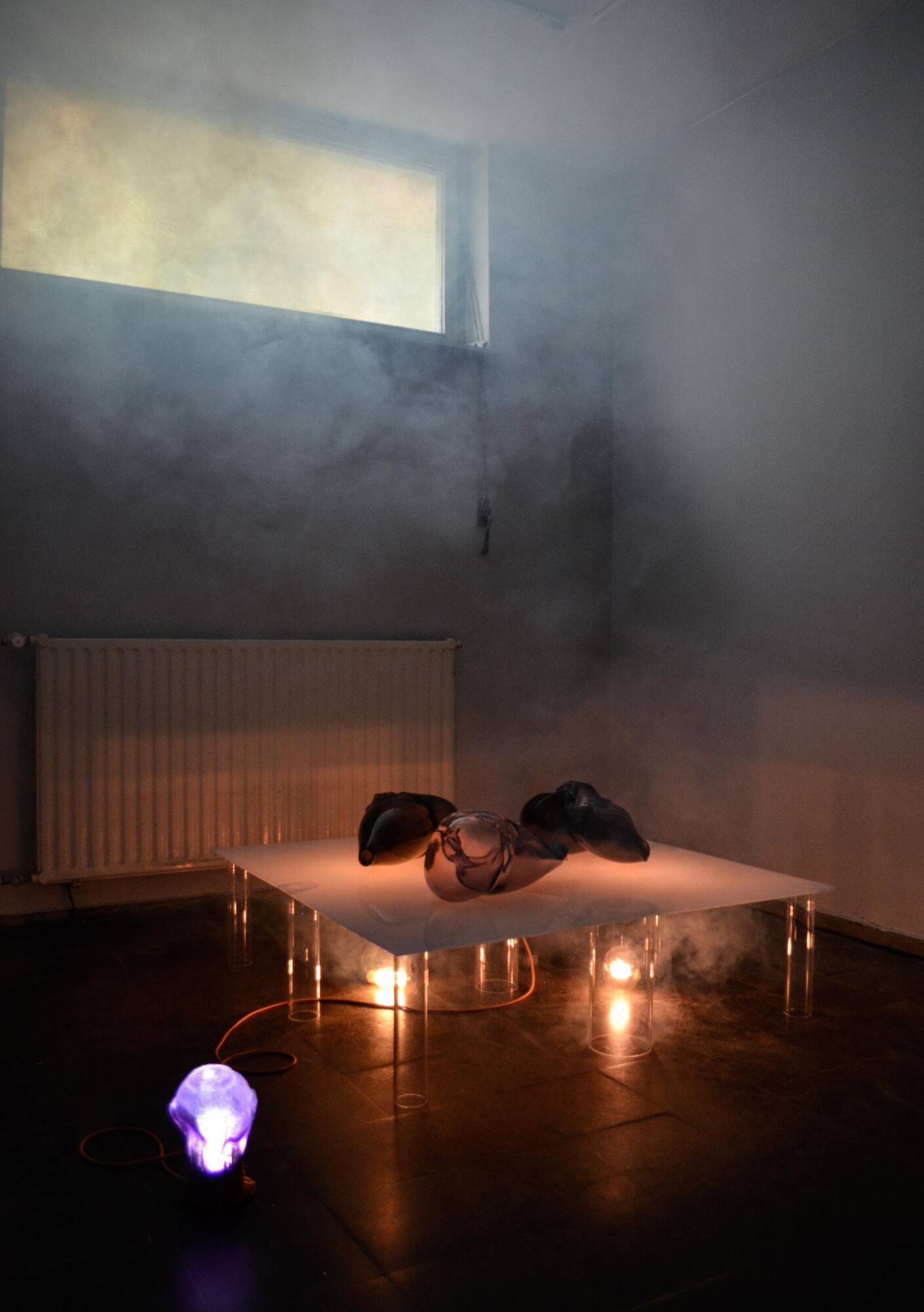Image:Emma Waltraud Howes