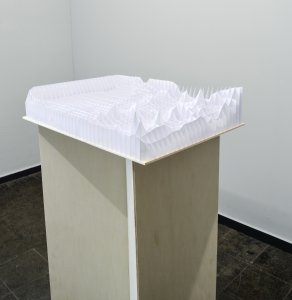 Willem Besselink