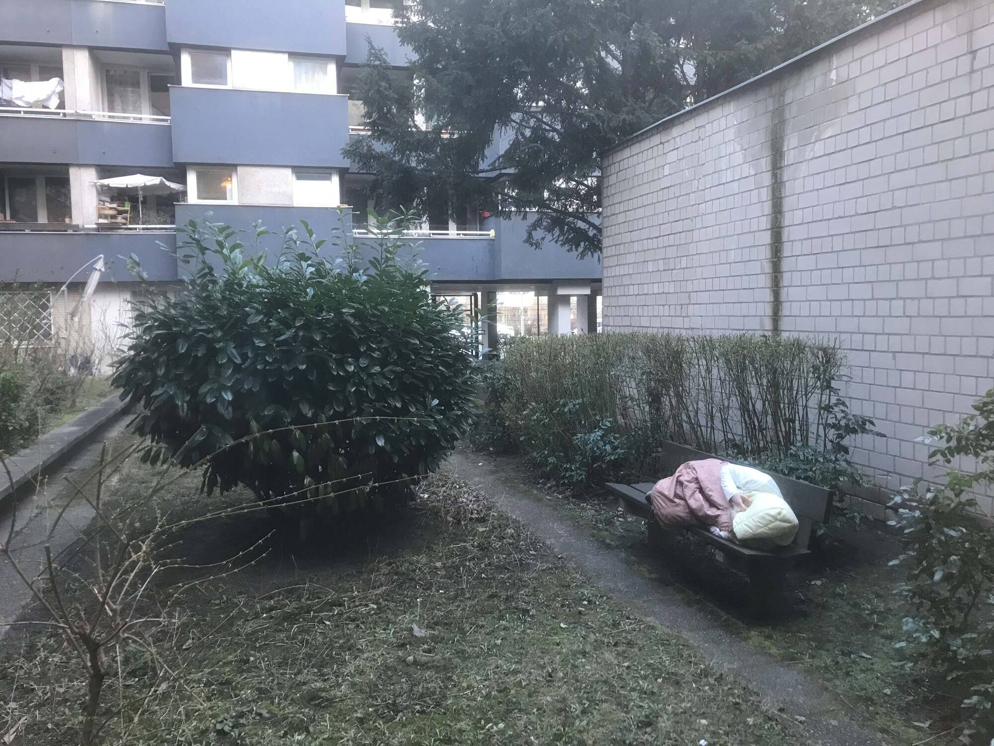 Image:Stella Geppert