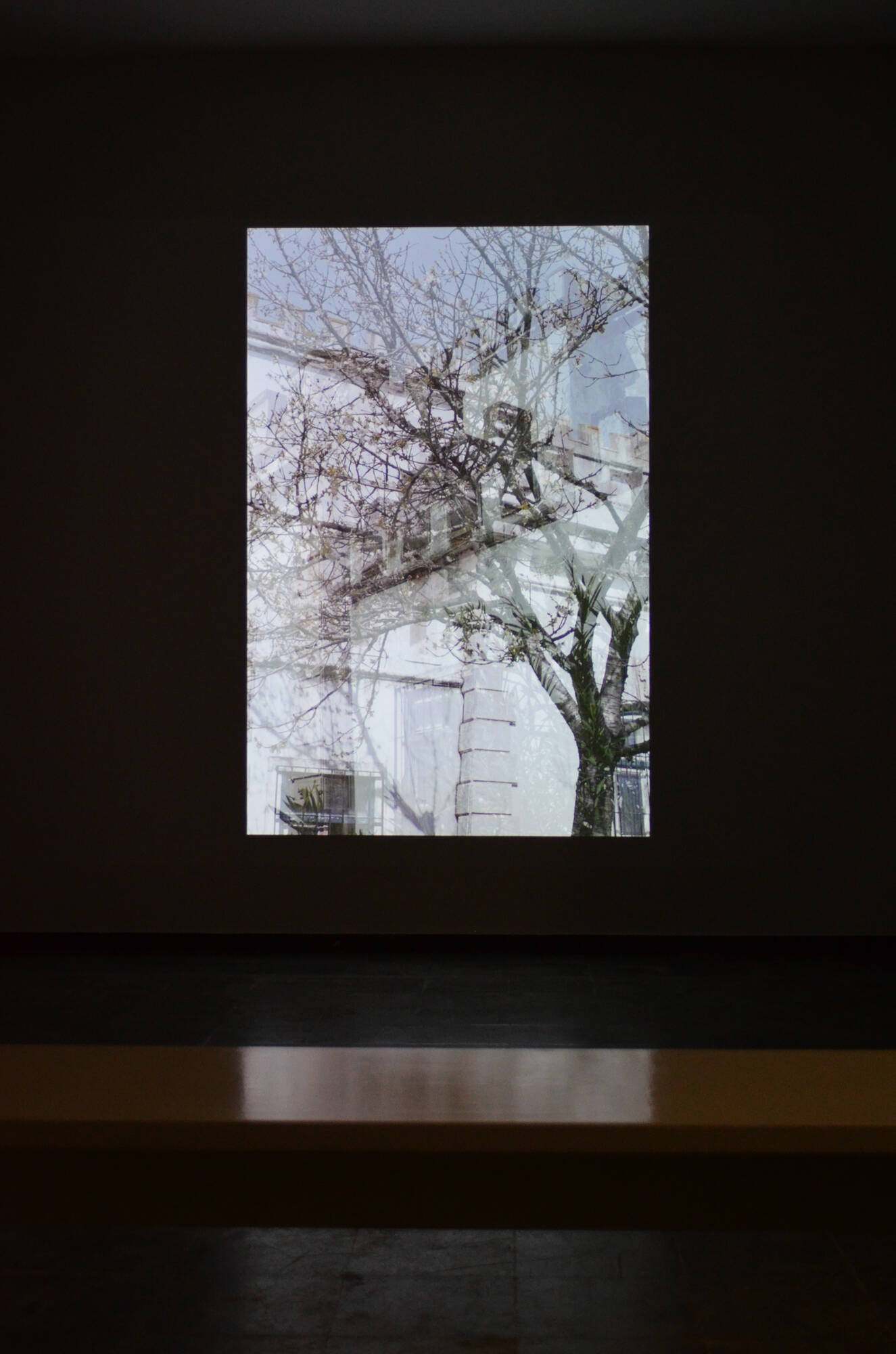 Image:Niklas Goldbach