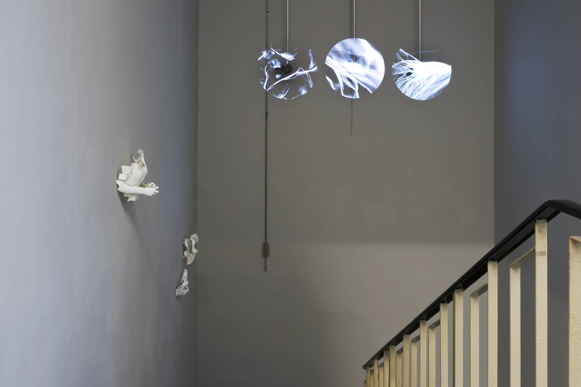Image:Tender Points - Exhibition View