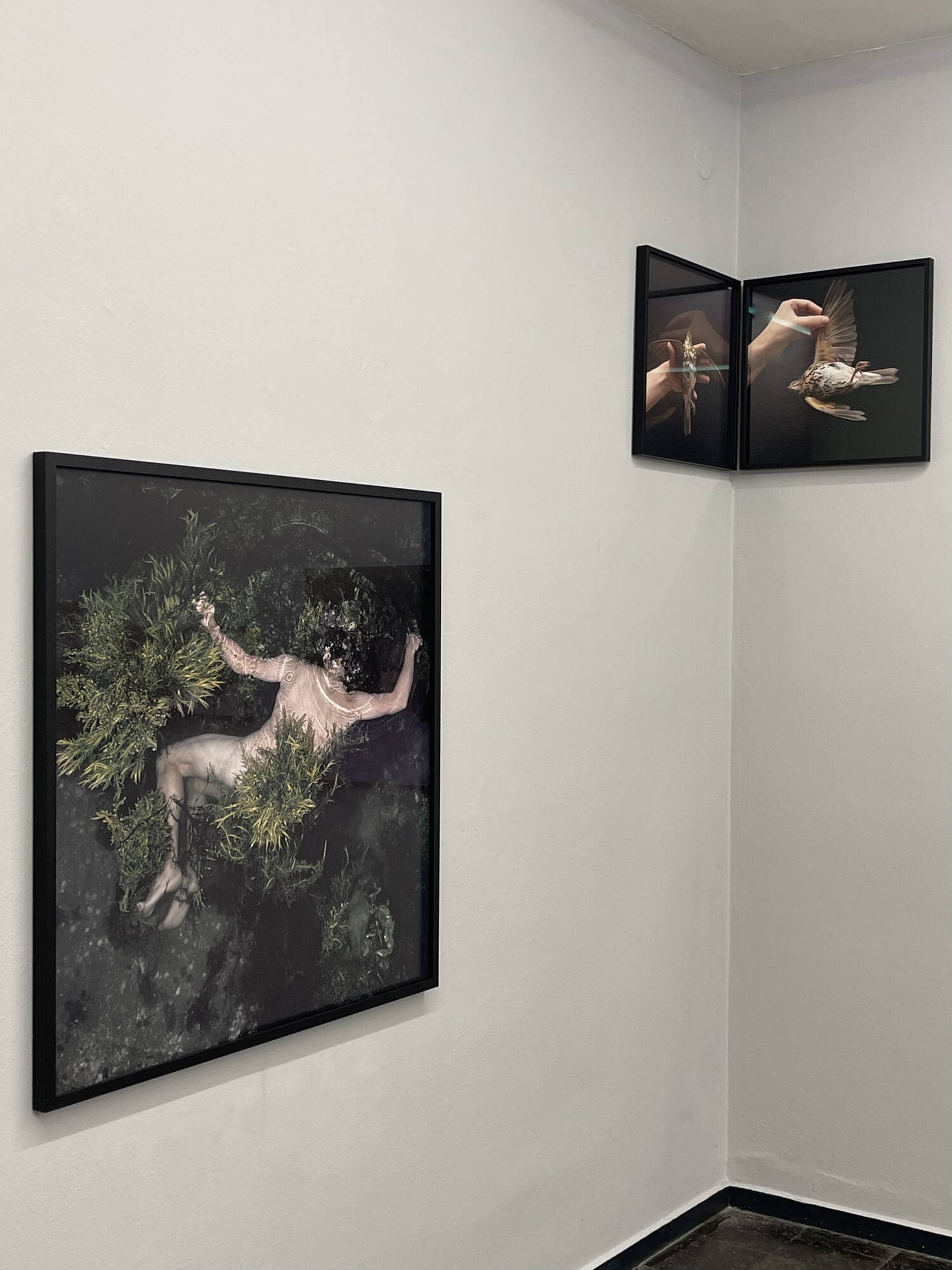 Image:Exhibition view