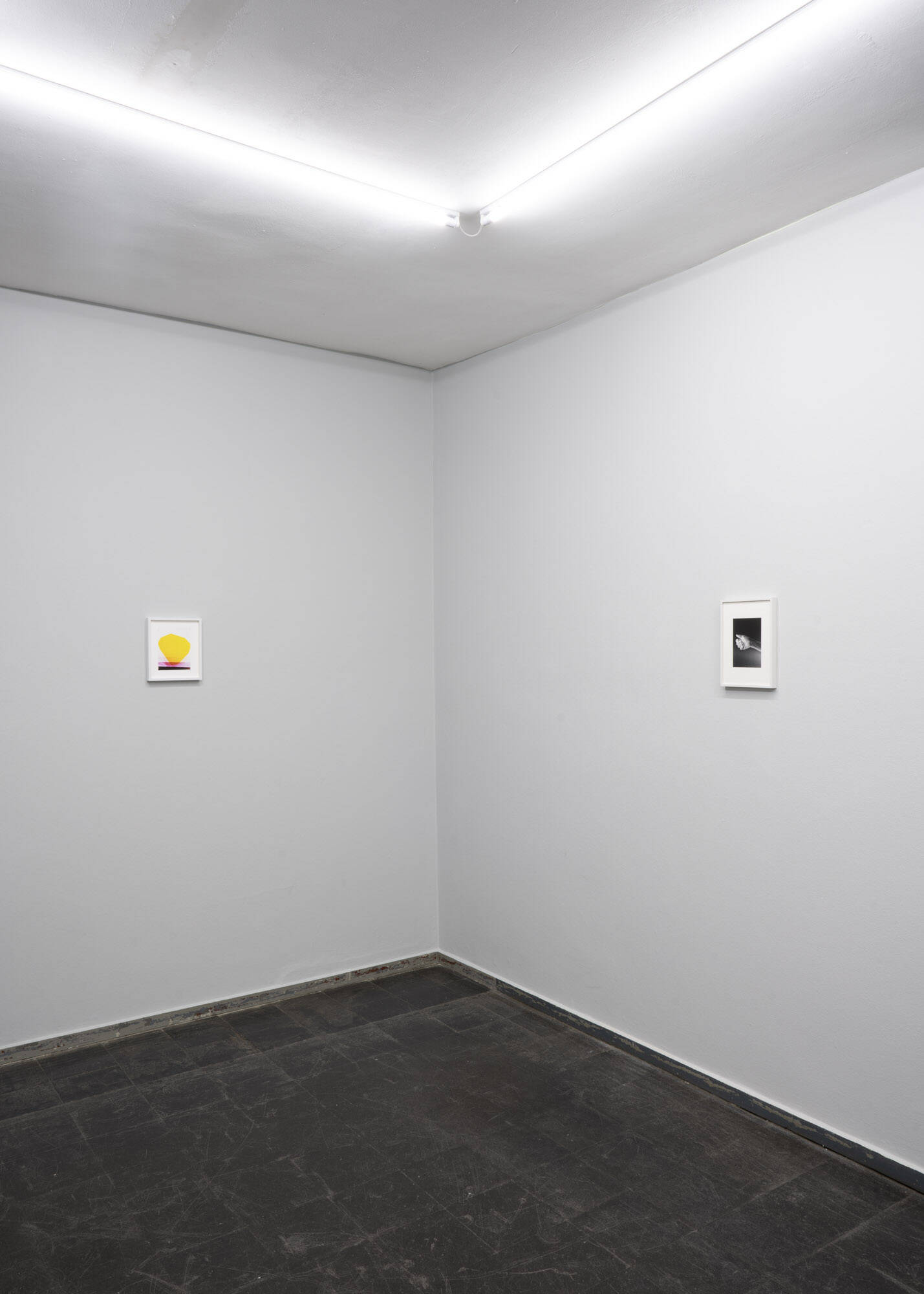 Image:Installation view Edition #5