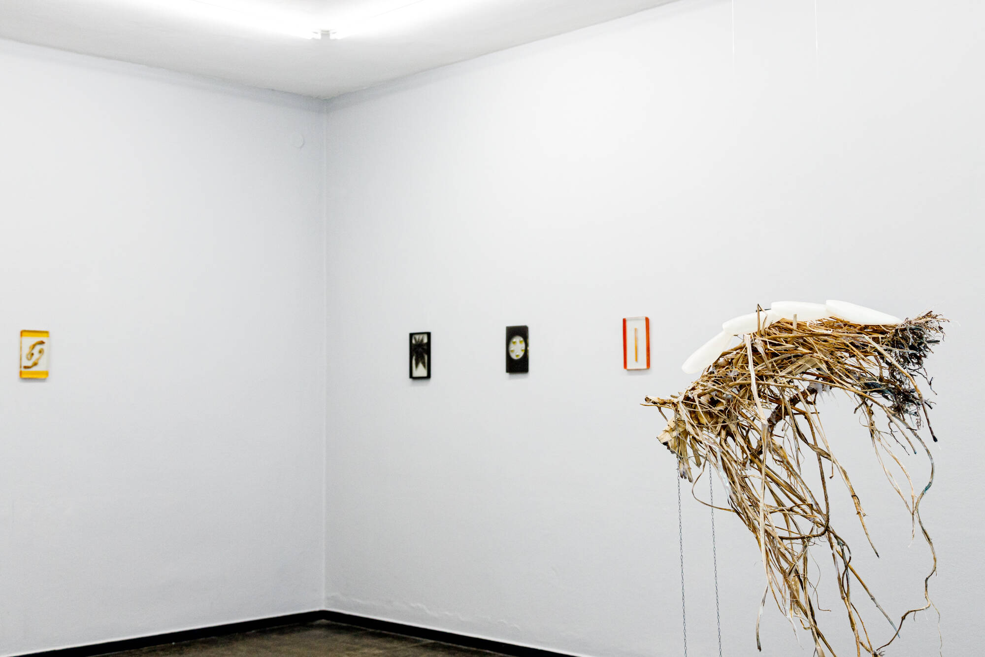 Image:Installation view