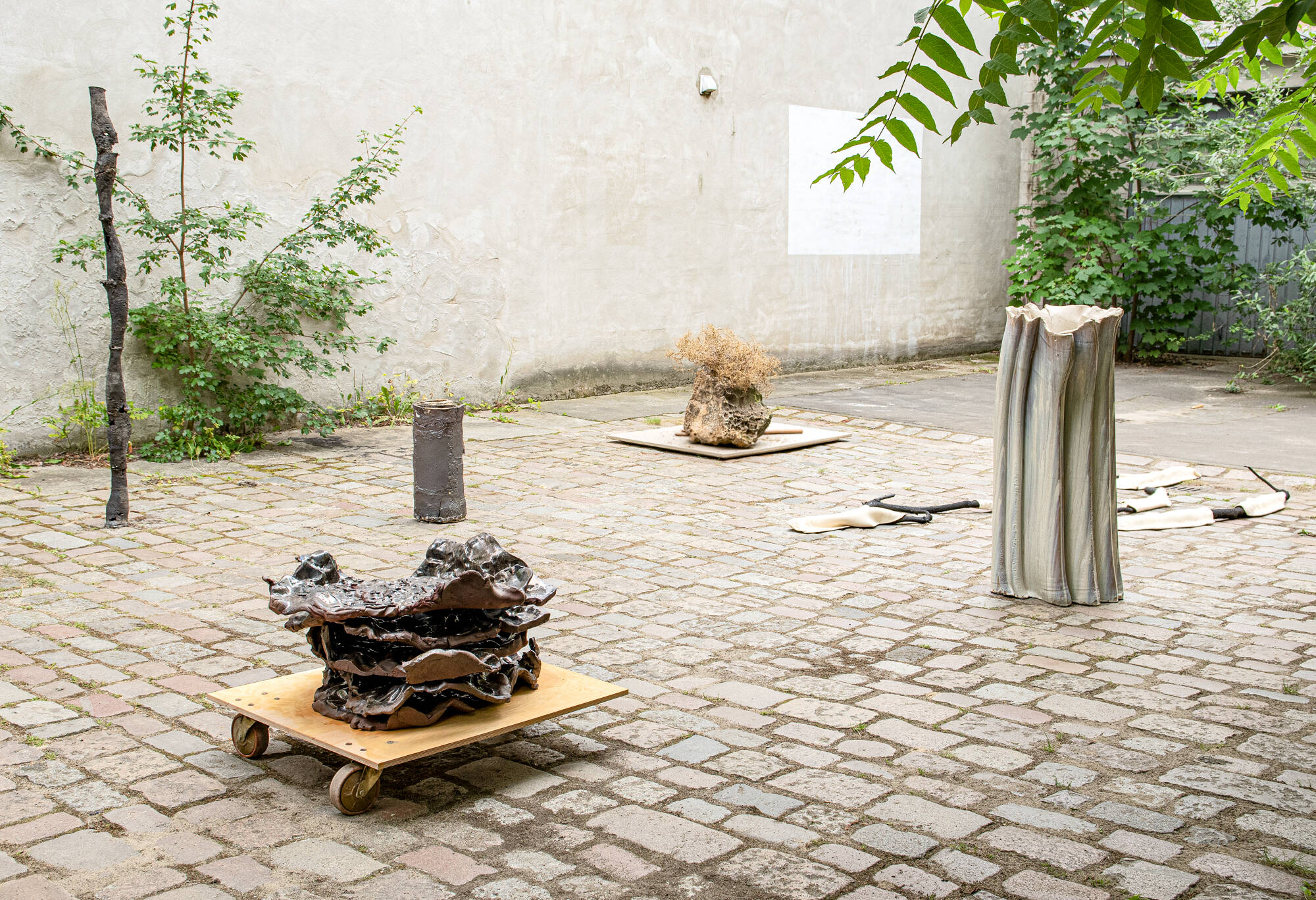 Image:Installation View