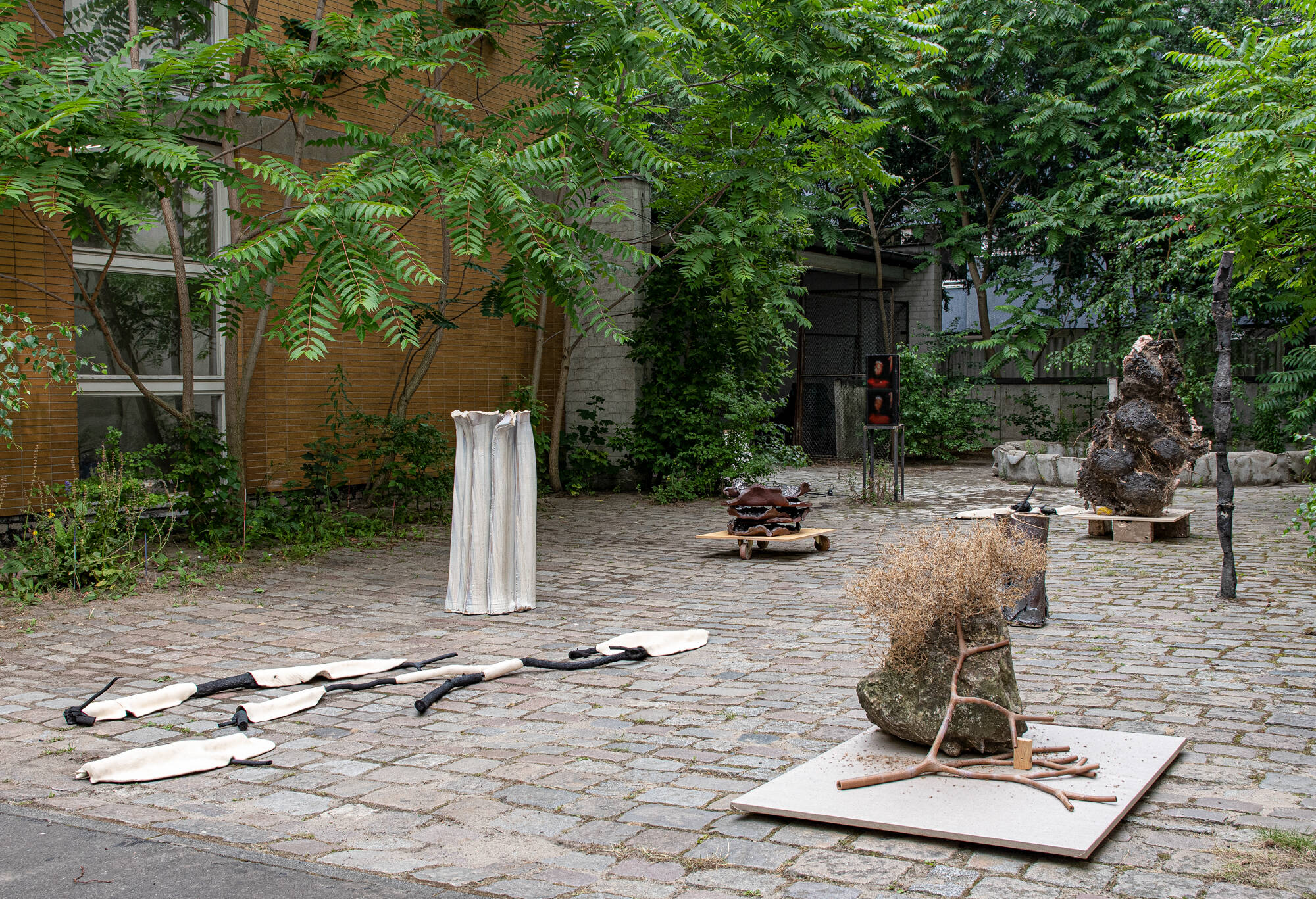 Image:Installation View