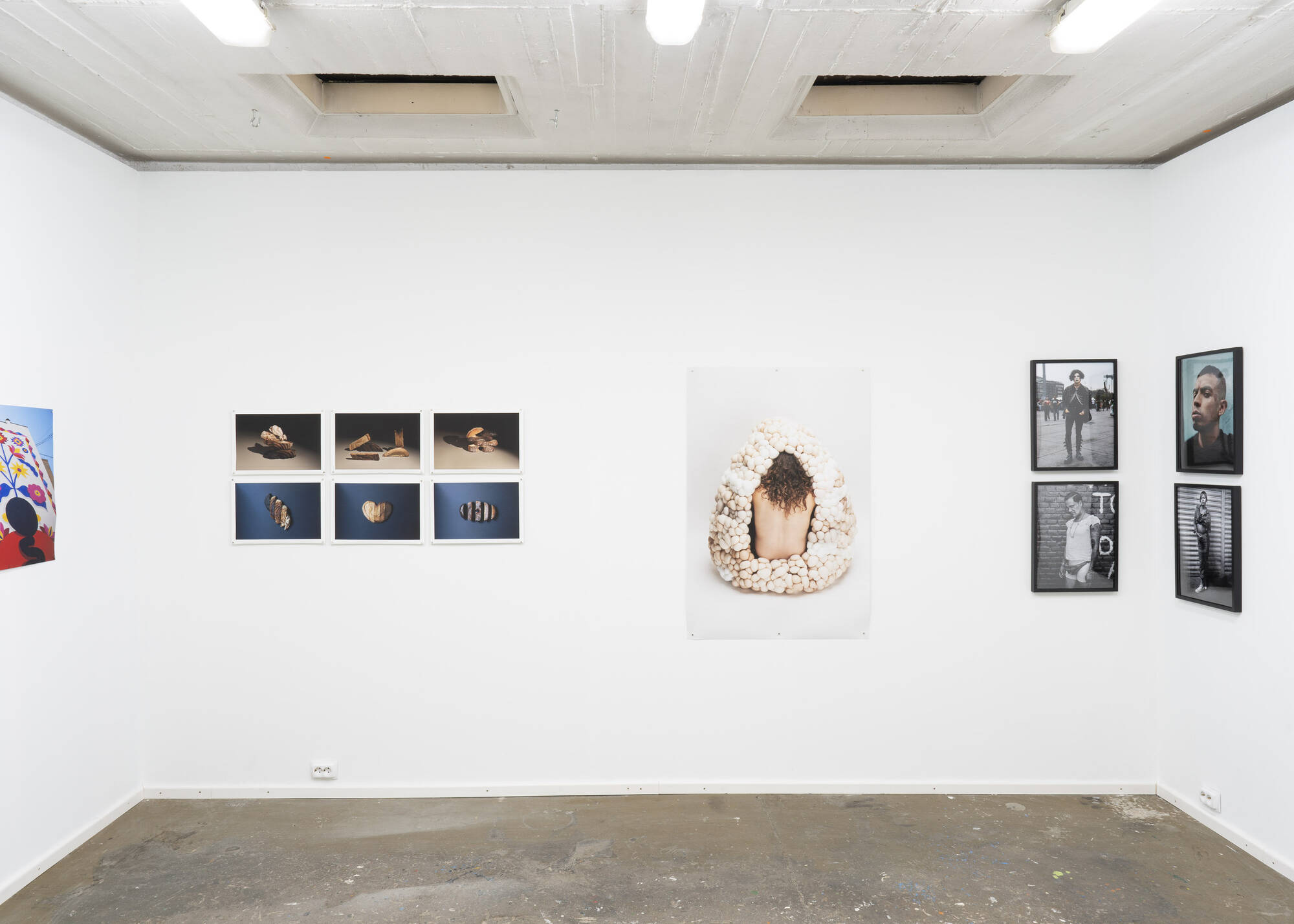 Image:Birthmark - Installation view