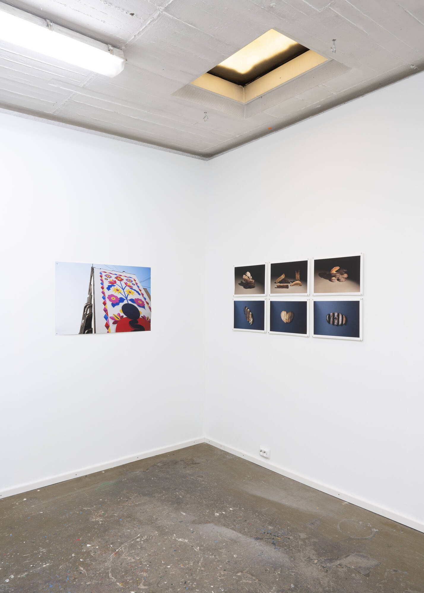Image:Birthmark - Installation view