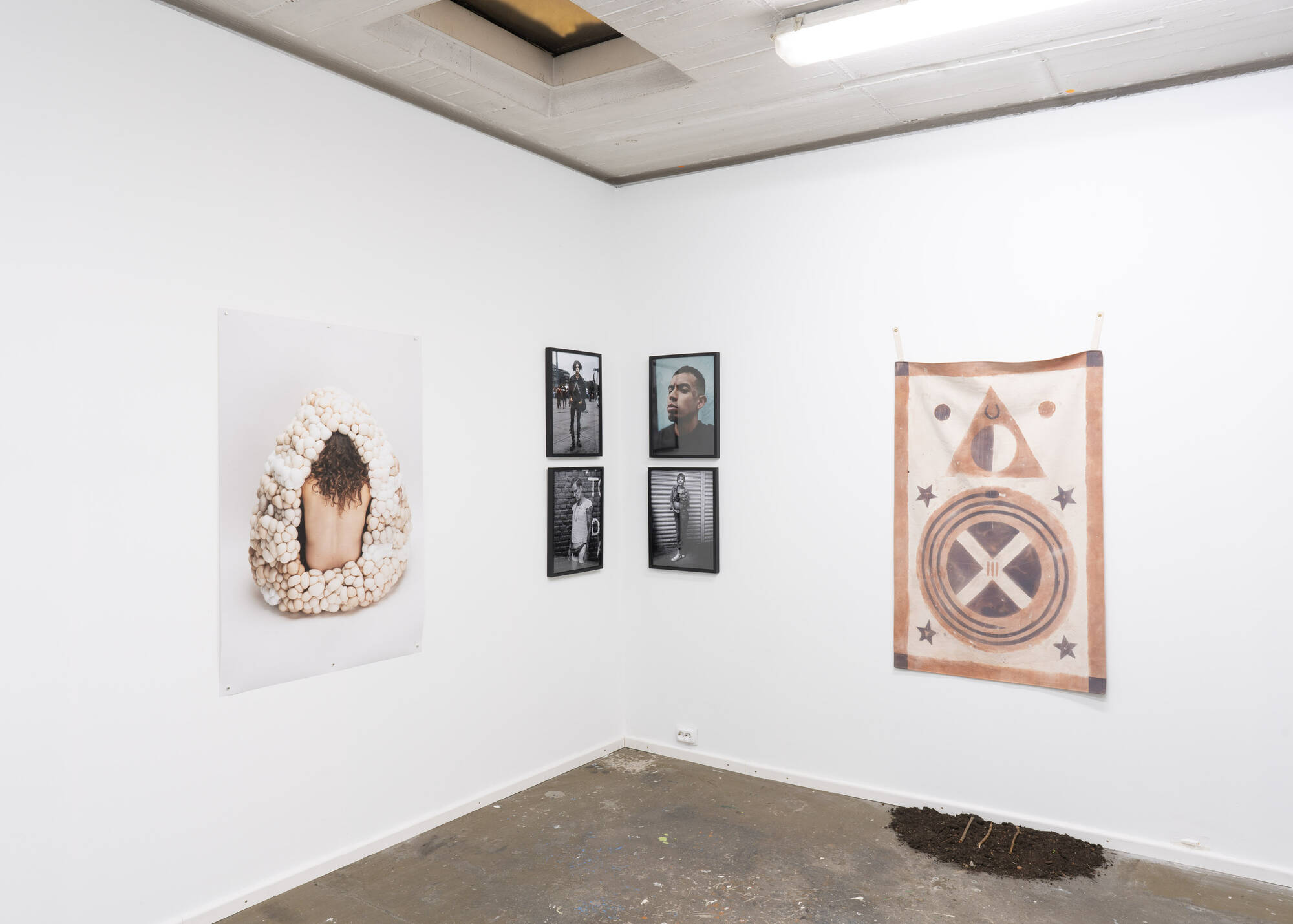 Image:Birthmark - Installation view