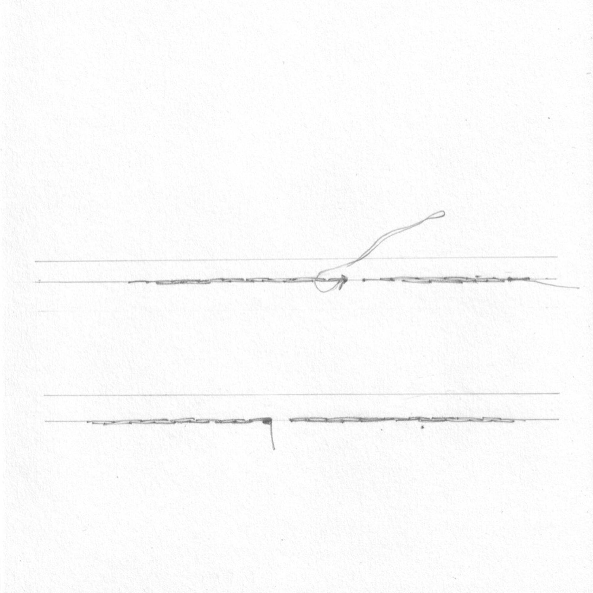 Image:Natalia Blanch, Knot, 2023