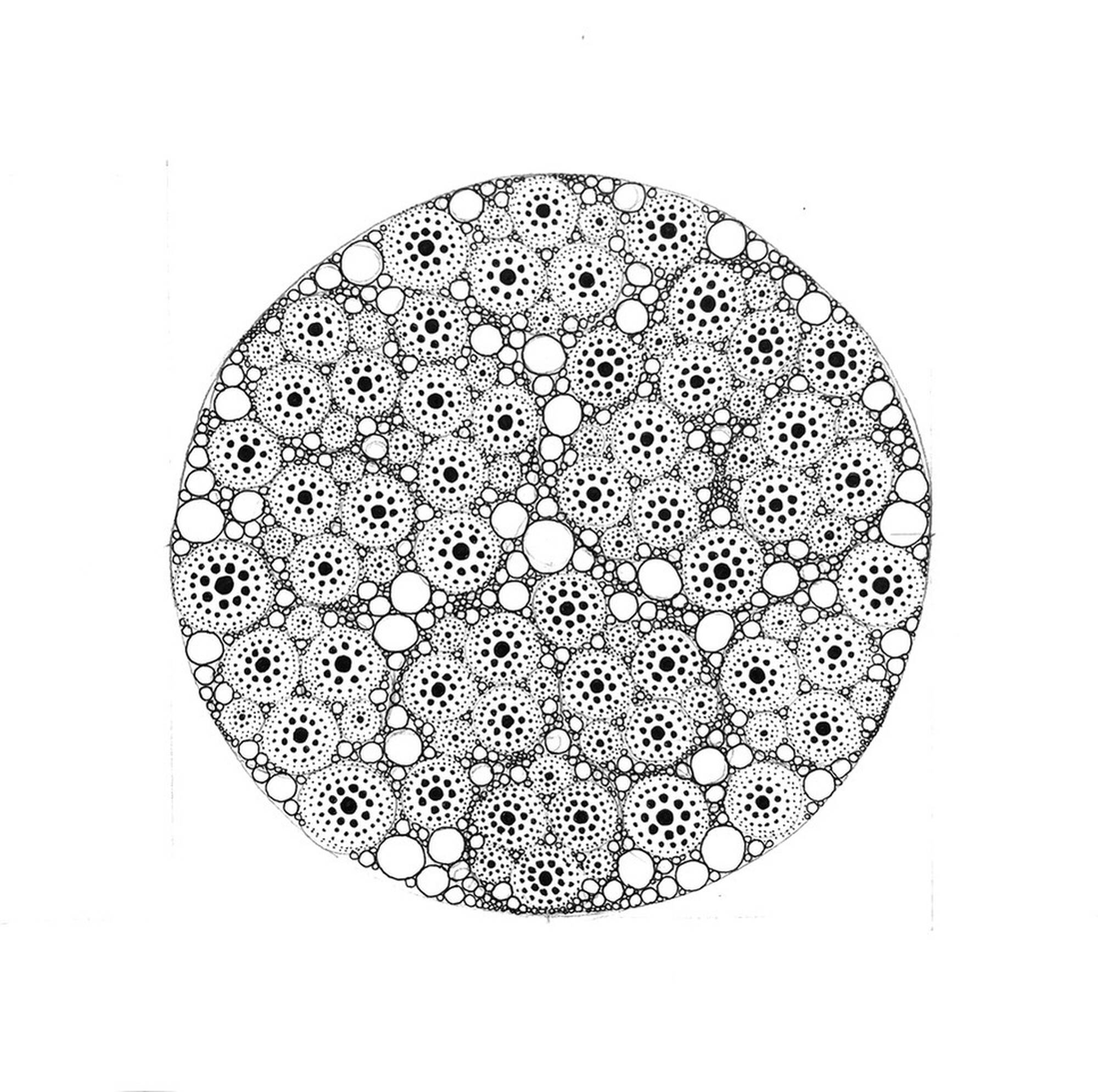 Image:Atinka di Muro, untitled
