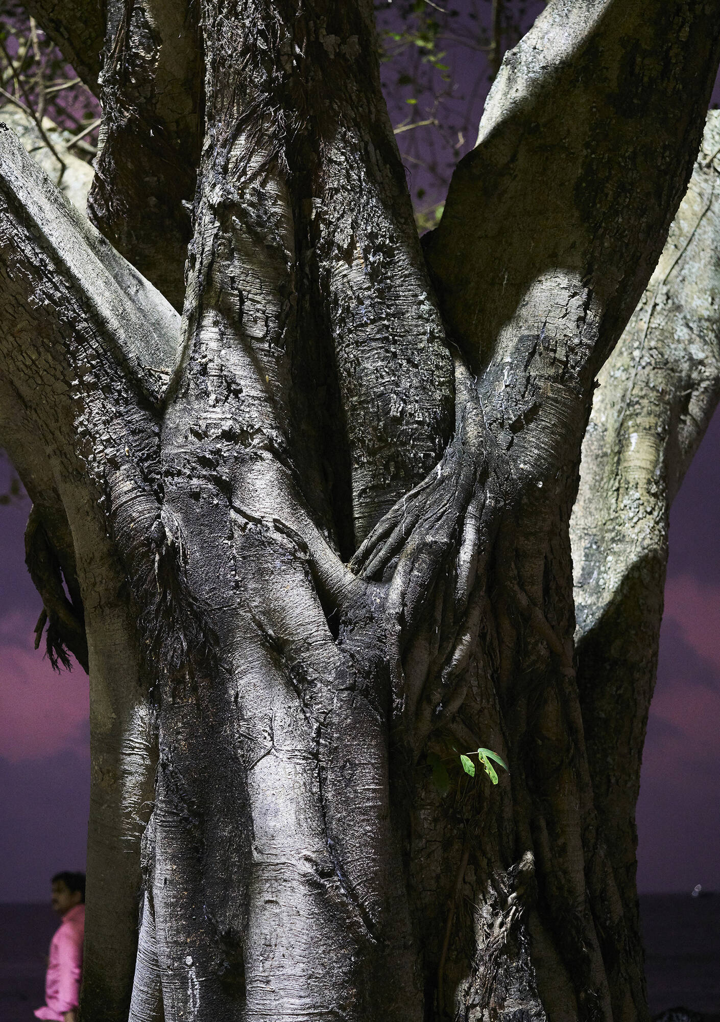 Image: