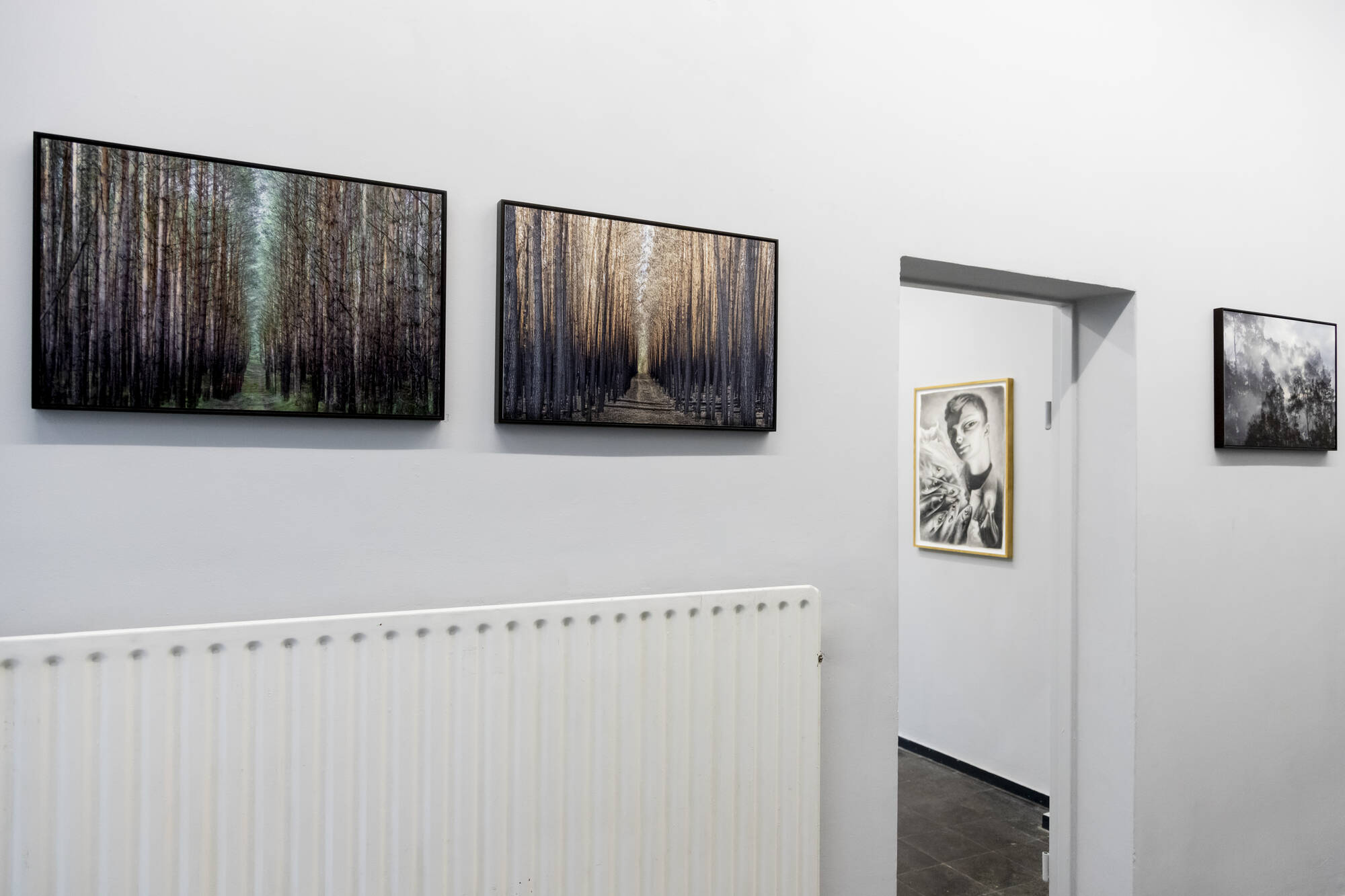 Image:from right to left: Halina Hildebrand, Sherin Yoku, 2020, Dennis Scholl, Magnetismus, 2024