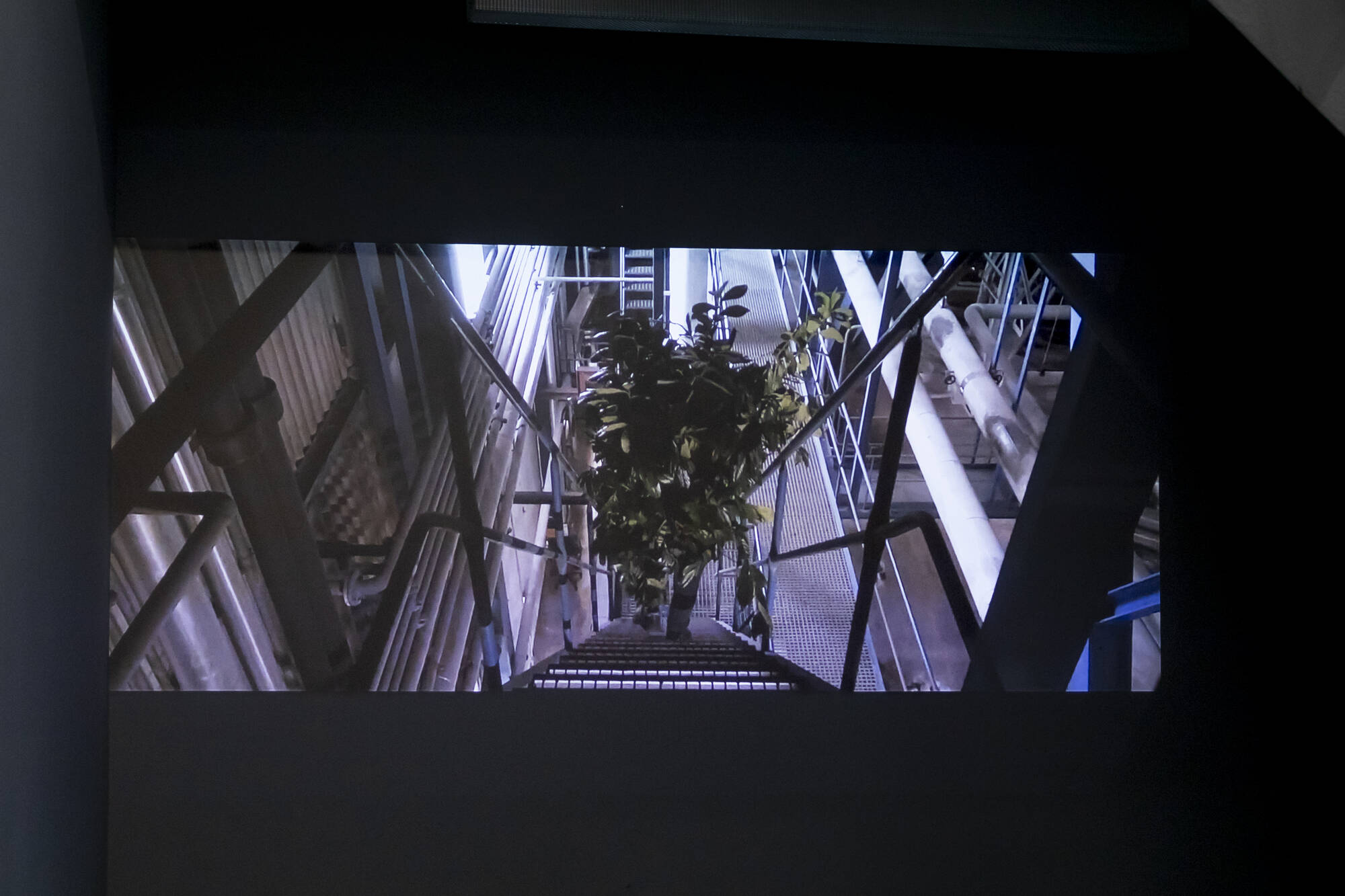 Image:Stella Geppert BUSK, Powerplant, Kunsthalle Nord, Aalborg, 2018