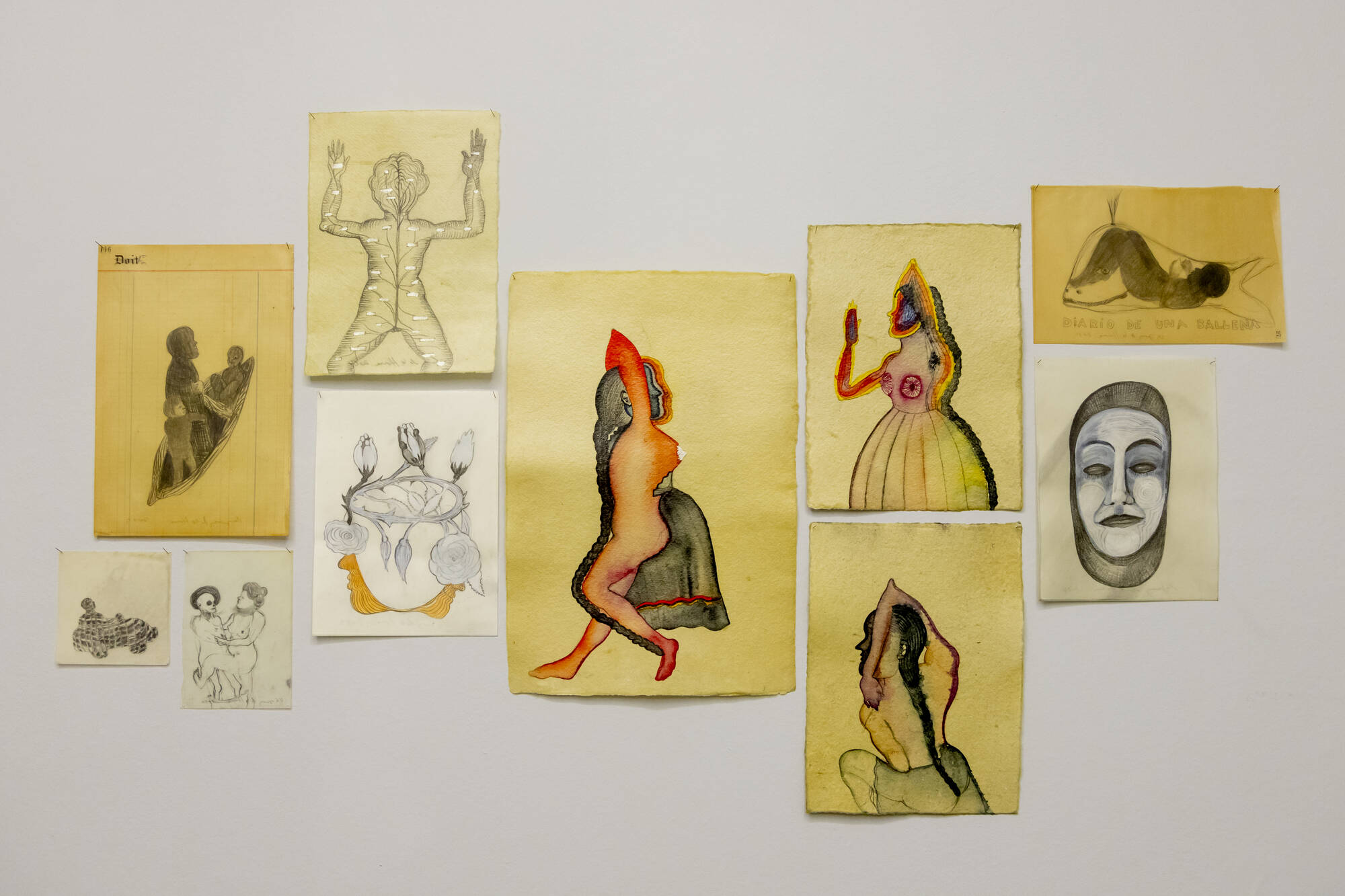 Image:Sandra Vasquez de la Horra, Amor en los Tiempos de Colera, 2010 El Carro, 2010 Rosa, la Canoa, 2009 Coronada de Rosas, 2023 Hija de Inti, 2025 Genealógicas, 2024 Descubierta, 2025 El Espejo, 2025 Diario de una Ballena, 2010 Morta, 2024